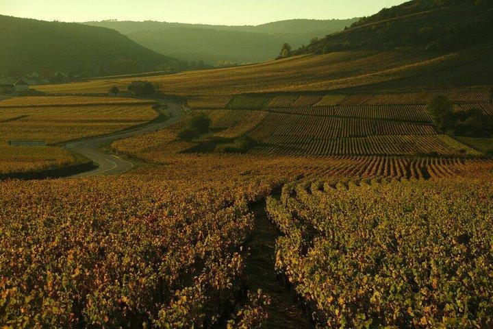 Paris Wine Day Tours - Chablis Wine tour - 3 dégustations avec déjeuner