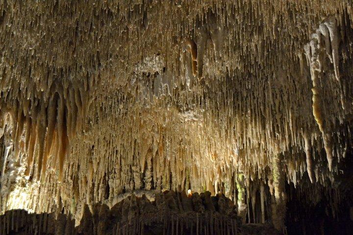Visite as Cavernas Drach com serviço de coleta