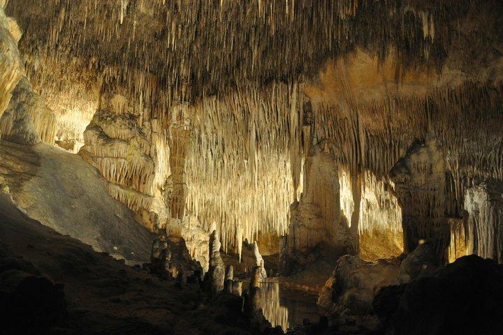 Visite as Cavernas Drach com serviço de coleta