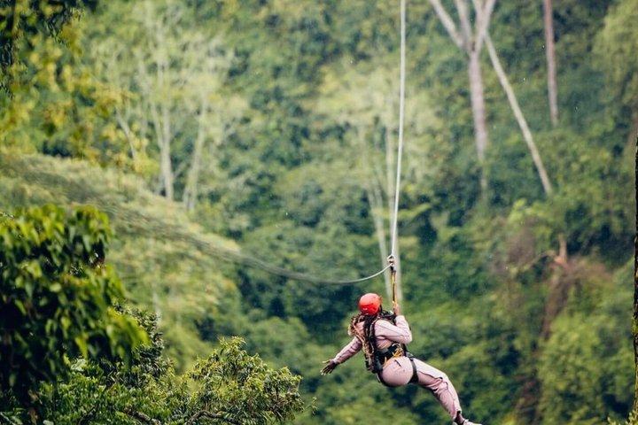 Avventura di un giorno nella foresta di Nyungwe – Passeggiata a baldacchino e zipline
