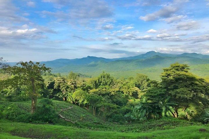 5-Daagse Wildlife Tour in Chebera Churchura National Park