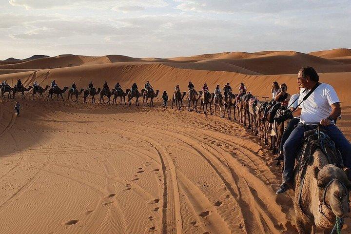 3 Tage Marrakesch Wüste Abenteuer Dünen Kasbahs und Kamel Trekking