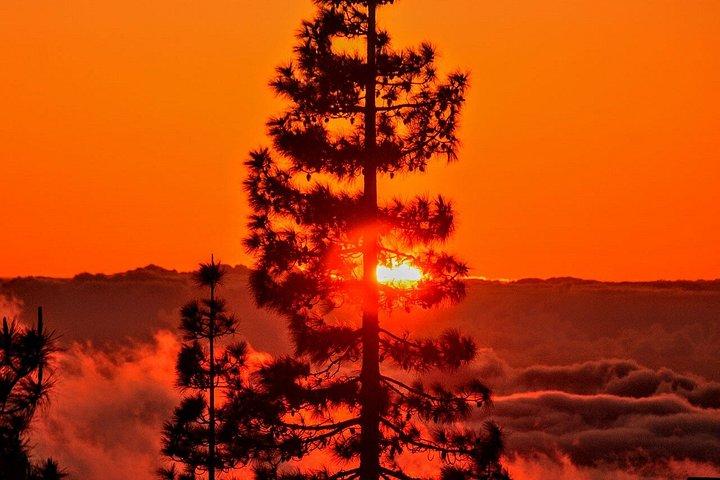 テイデの夕日と星空観察コーチツアー（ホテル送迎付き）