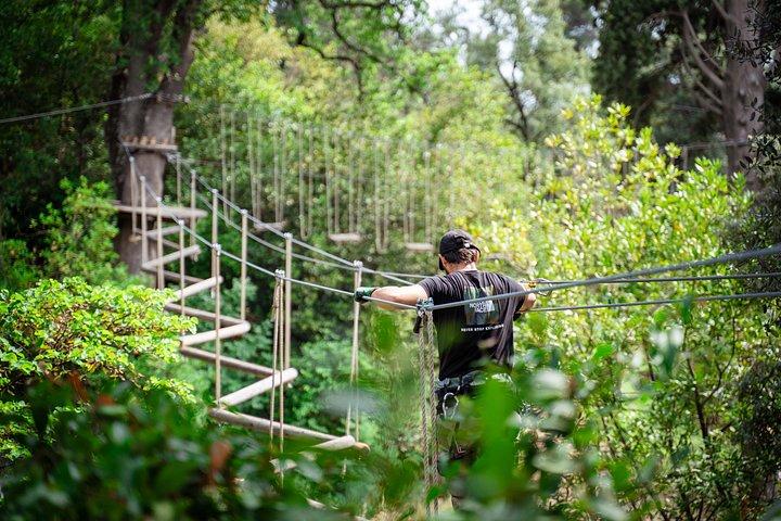 Marseille Ecopark Adventure Treetop Adventure Park