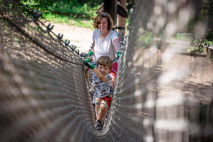 Marseilles Ecopark Adventure tree park