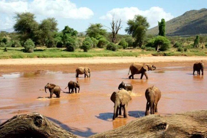 ナイロビ発アンボセリ国立公園3日間サファリ