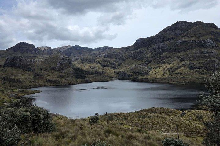 Privat dagstur i Cuenca og Cajas