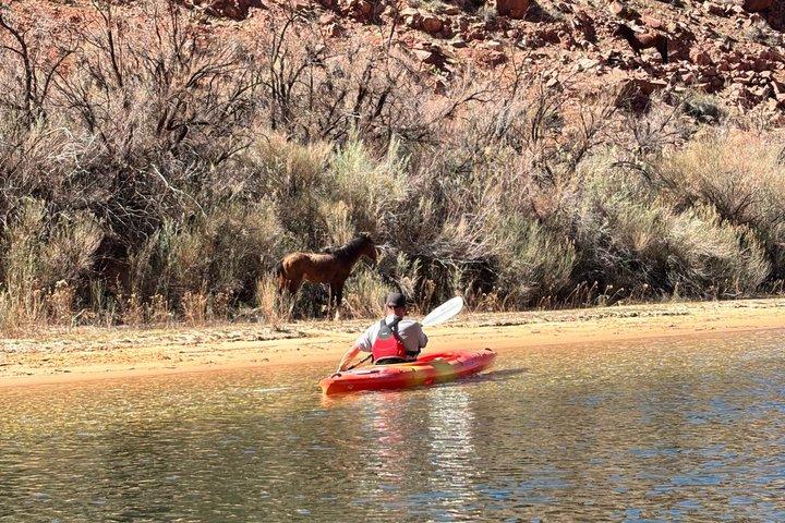 Horseshoe Bend Petroglyph Kayak Tour