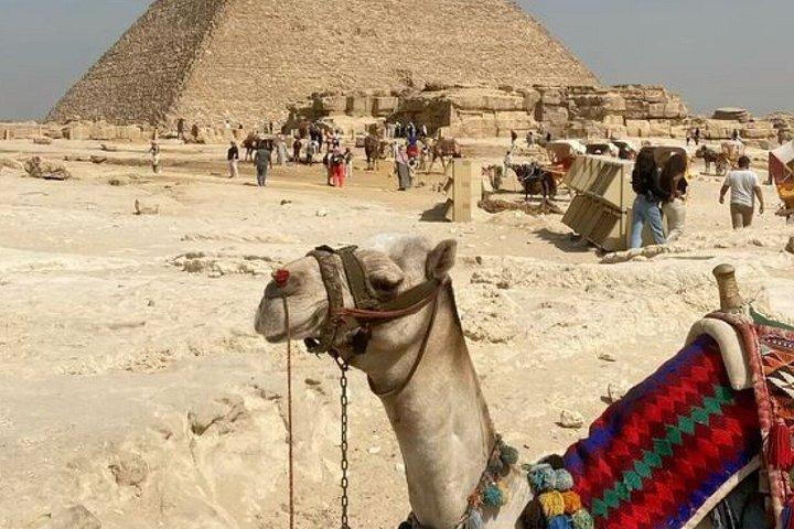 VIPアレクサンドリア港岸小旅行ギザピラミッド、スフィンクス،GEM