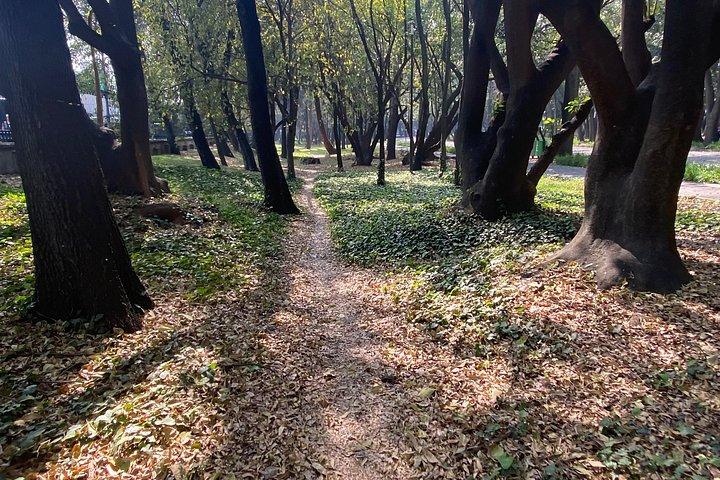 From the Aztecs to Frida: Chapultepec Park History Walk
