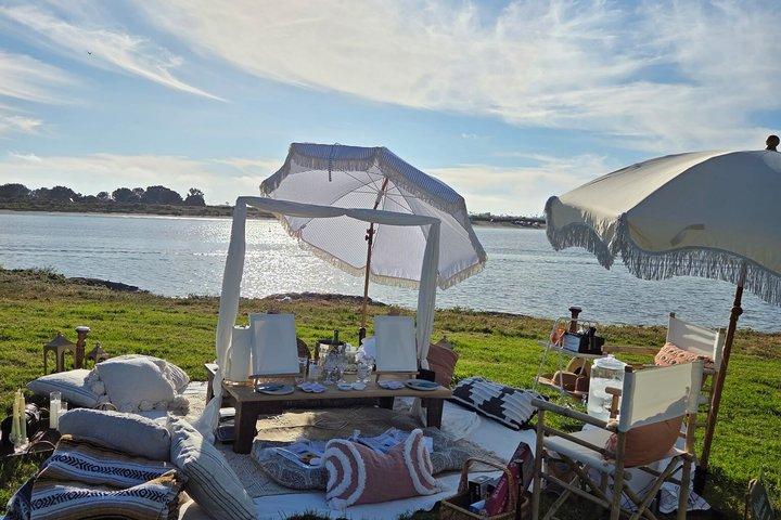 San Diego Paint and Sip Picnic Experience
