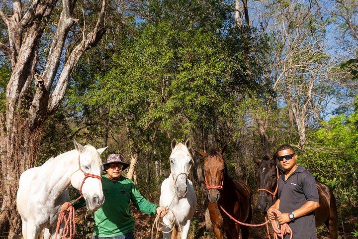 Conchal Beach Horseback Riding - 1hr 30min Guided Tour