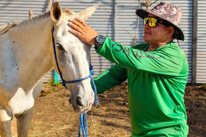 Conchal Beach Horseback Riding - 1hr 30min Guided Tour