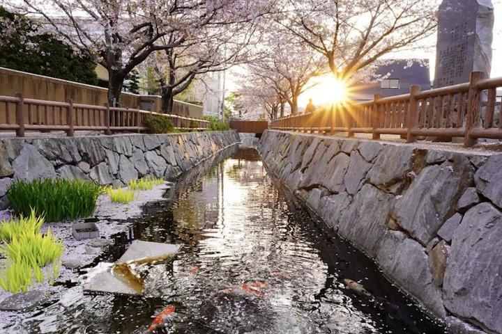 Tour privato personalizzato Takamatsu / Kagawa con Guida locale