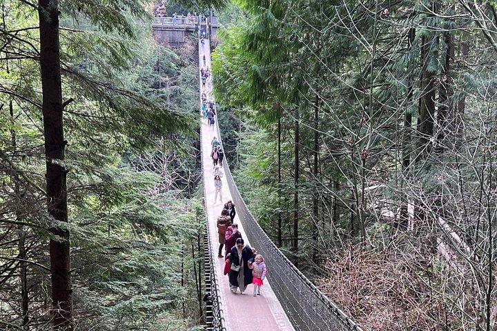 カピラノ吊橋付きバンクーバー小グループツアー