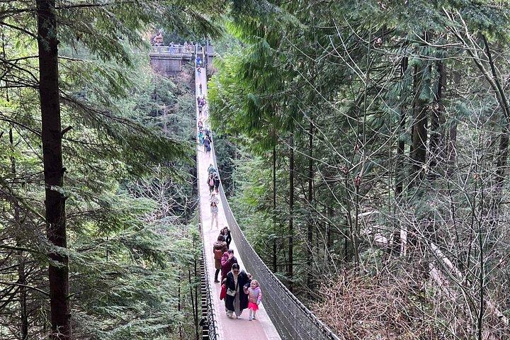 Excursão privada em Vancouver com a Ponte Suspensa Capilano