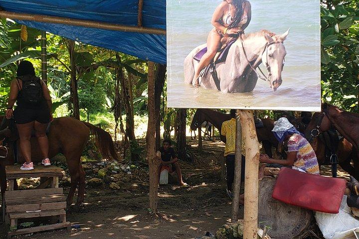 ブルーホール、秘密の滝＆乗馬アドベンチャー