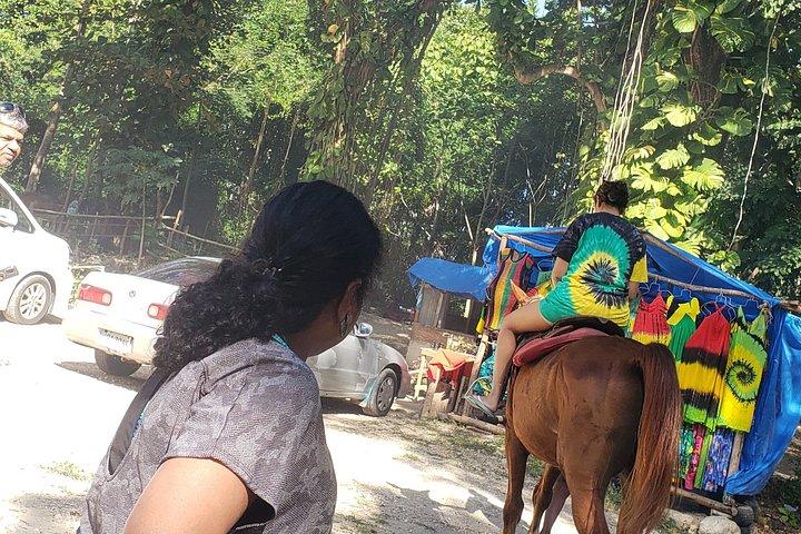 ブルーホール、秘密の滝＆乗馬アドベンチャー