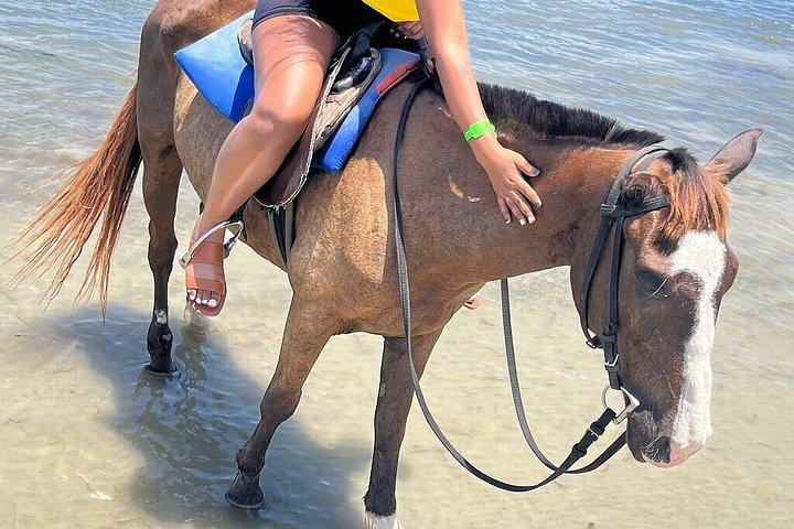 ブルーホール、秘密の滝＆乗馬アドベンチャー