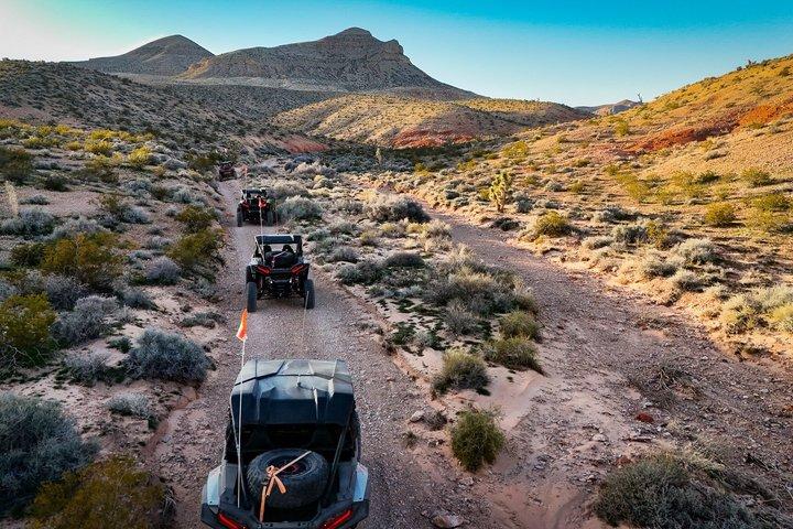 Las Vegas Mini Desert RZR Adventure