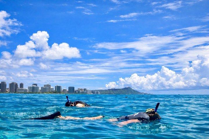 Waikiki Snorkling & Ocean Waterpark äventyr från Oahu