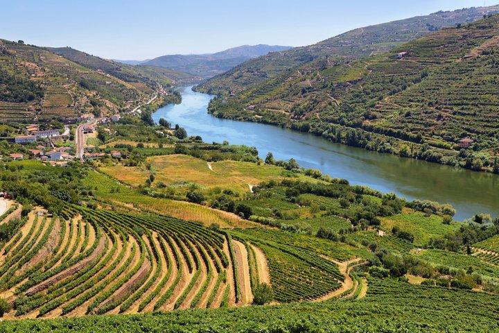 Douro Valley wijntour : 2 wijnhuizen, lunch en riviercruise