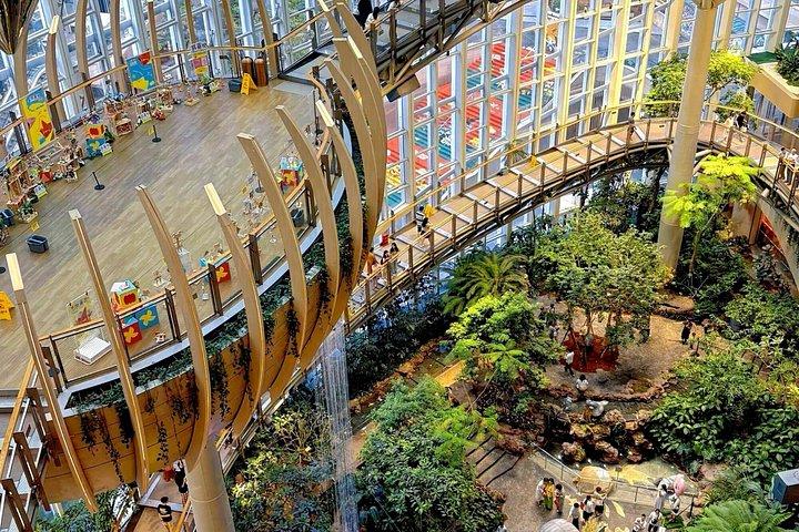 重慶人になる-ウェットマーケットツアー＆料理クラス＆切り紙