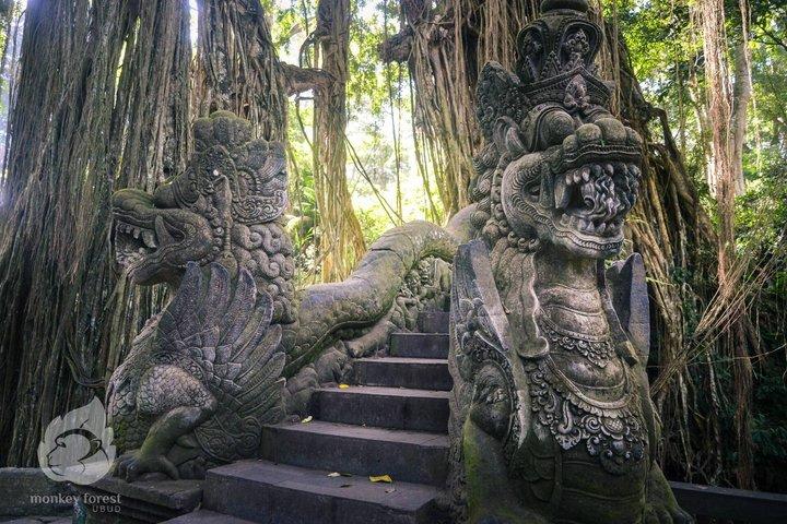 Ubud : Balançoire Bali réelle, forêt de singes, temple et cascade