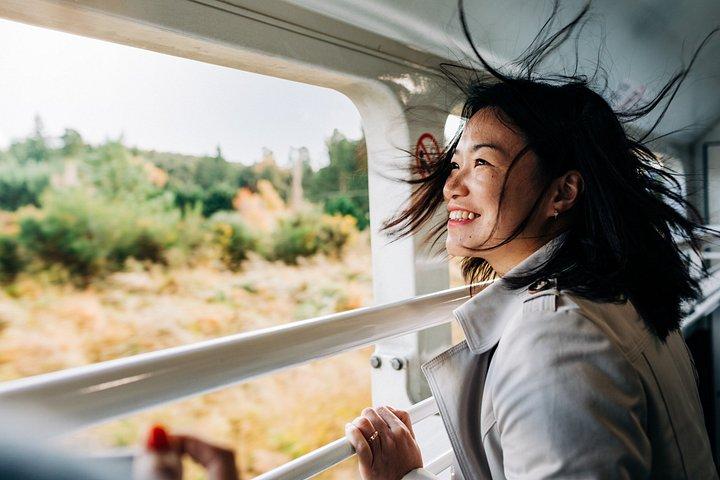 クライストチャーチ発アーサーズパスへのトランザルパイン列車（ランチ付き）