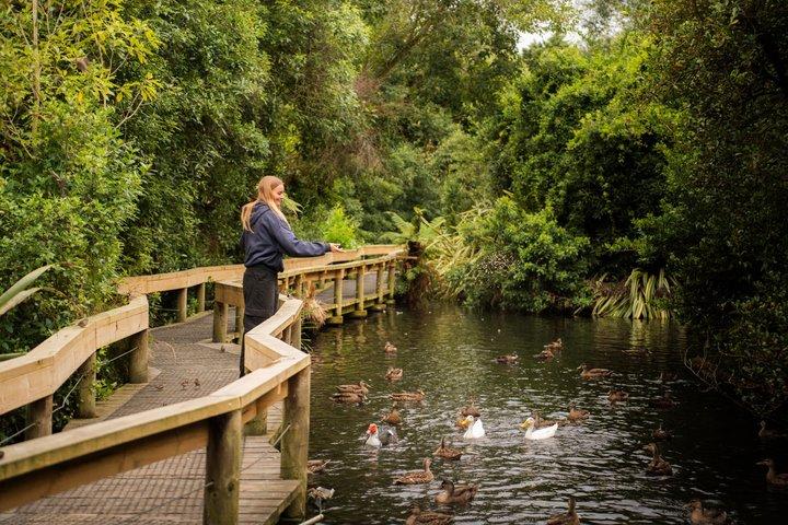 Willowbank Wildlife Reserve Day Entry