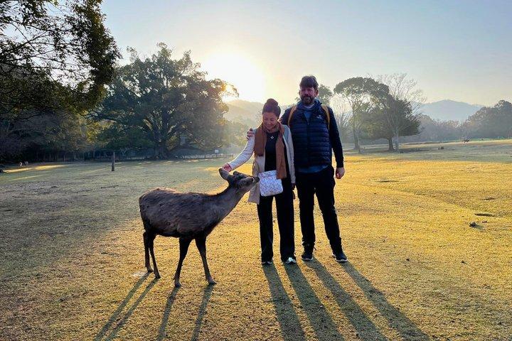 Nara: Passeggiata mattutina sacra con cervi nella nebbia