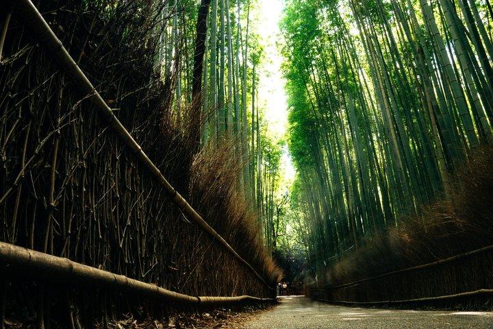 Excursión privada de lujo por Alphard en Kioto Arashiyama Kinkaku-ji Inari