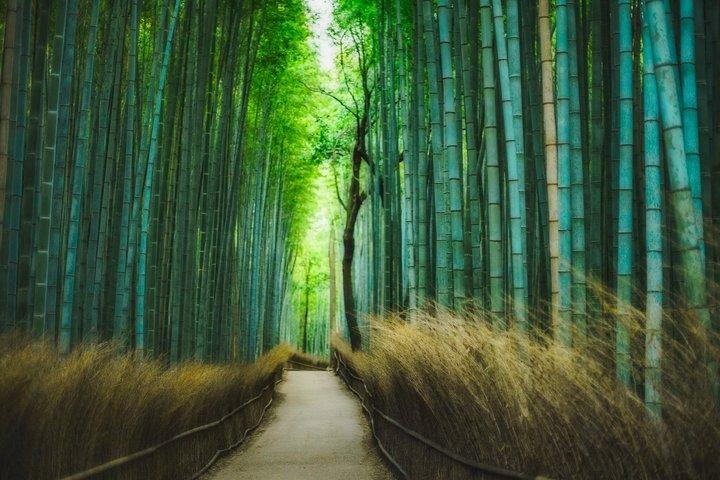 Excursion privée de luxe à Kyoto Arashiyama Kinkaku-ji Inari