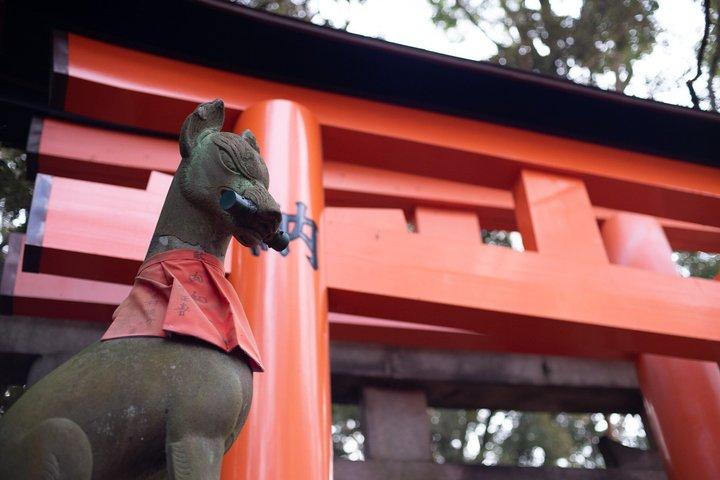 Excursion privée de luxe à Kyoto Arashiyama Kinkaku-ji Inari