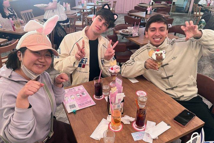 Visite privée d'Akihabara : Anime, Pokemon, Maid Café & Culture