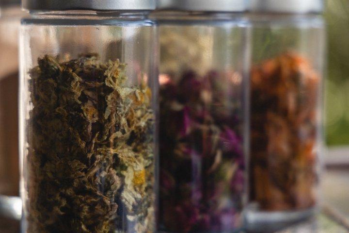 Wild Fragrance and Handmade Soap Workshop