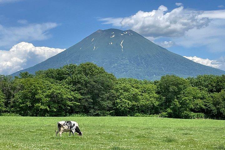 札幌発 登別・洞爺湖・ニセコ満喫一日ツアー