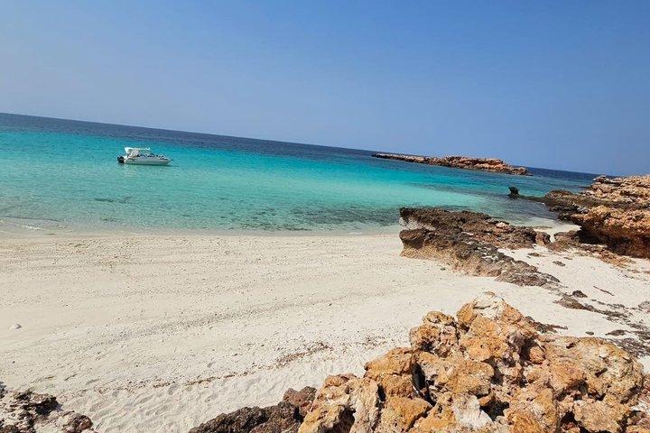 アル・ムジュ・マリーナ発ディマニヤット諸島半日シュノーケリング
