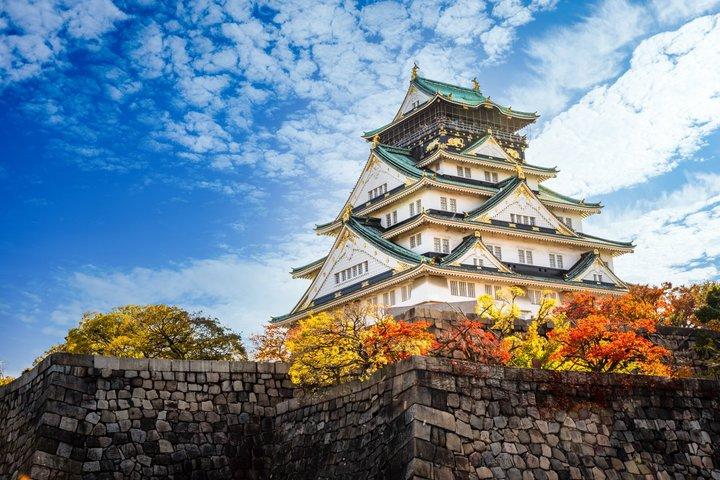 Osaka Dagtour met Gids door Private Executive Vehicle