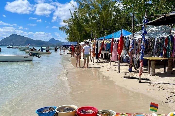 Dolphin Swim, Crystal Rock & BBQ Lunch in Mauritius