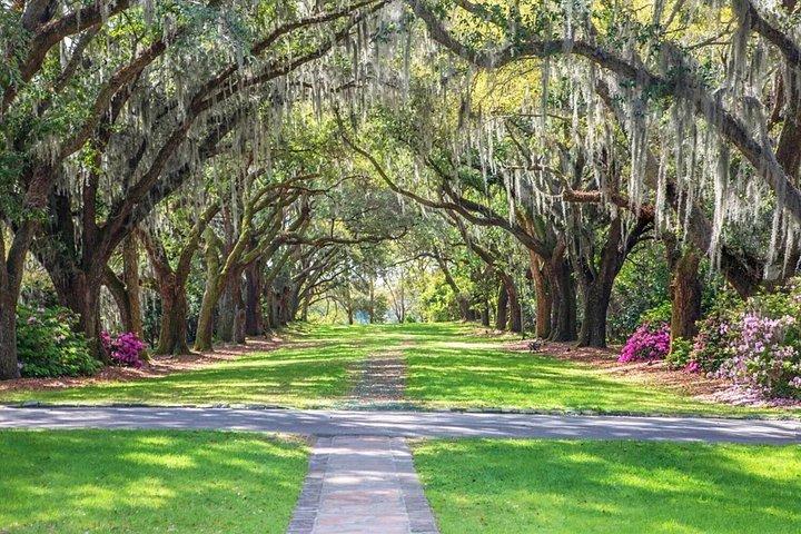 Visite audio en voiture de Savannah à Charleston en mode autonome