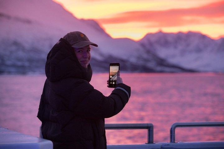 トロムソからの持続可能なホエールウォッチング-カタマランアドベンチャー