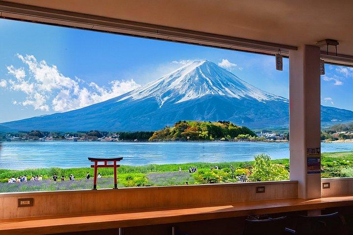 富士山、忍者村、大石公園、忠霊塔日帰りツアー