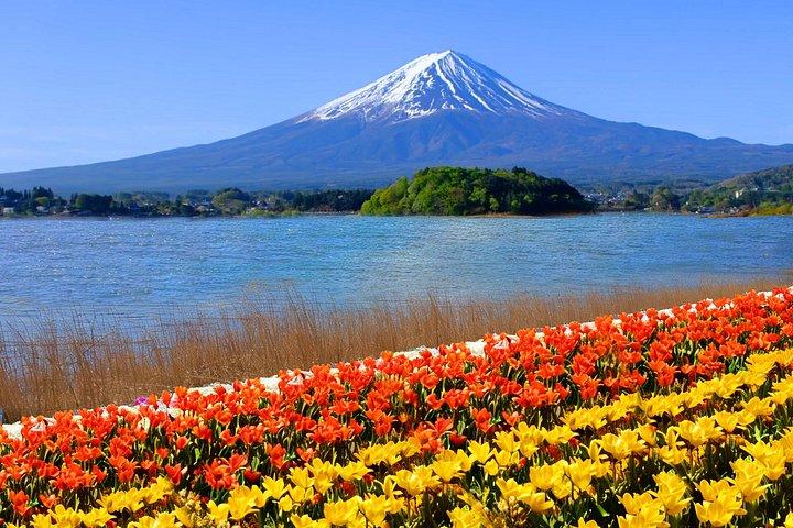 富士山、忍者村、大石公園、忠霊塔日帰りツアー