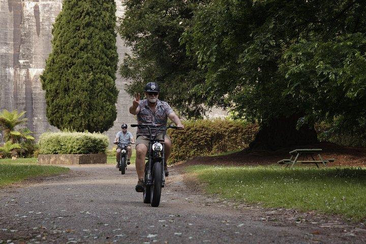 Healesville e-Ride, Bar Hop and Dinner eXperience