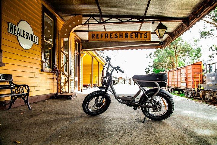 Healesville e-Ride, Bar Hop and Dinner eXperience