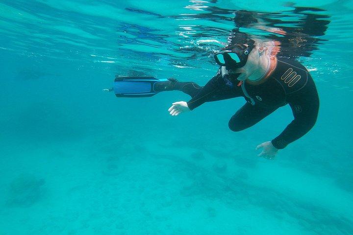 Chania Guided Snorkeling and Boat Excursion