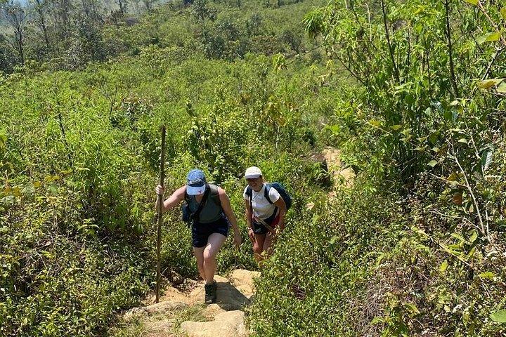 Knuckles Mountains Range 8 hours day tours from Kandy city
