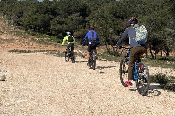 3 timers elcykeltur på Aegina