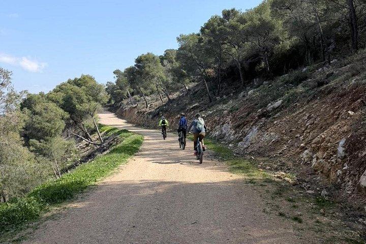 3 timers elcykeltur på Aegina